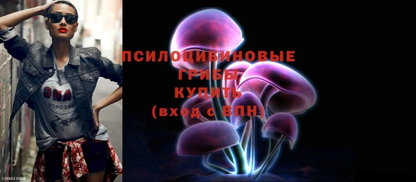дмт Кукмор