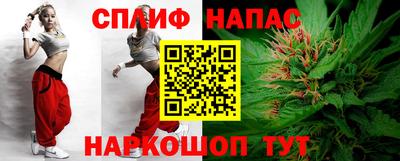 СК Дубна