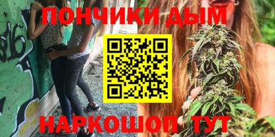 крисы Донской