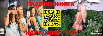 крисы Донской