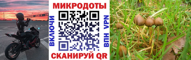 Псилоцибиновые грибы мухоморы  где купить наркоту  Урай 