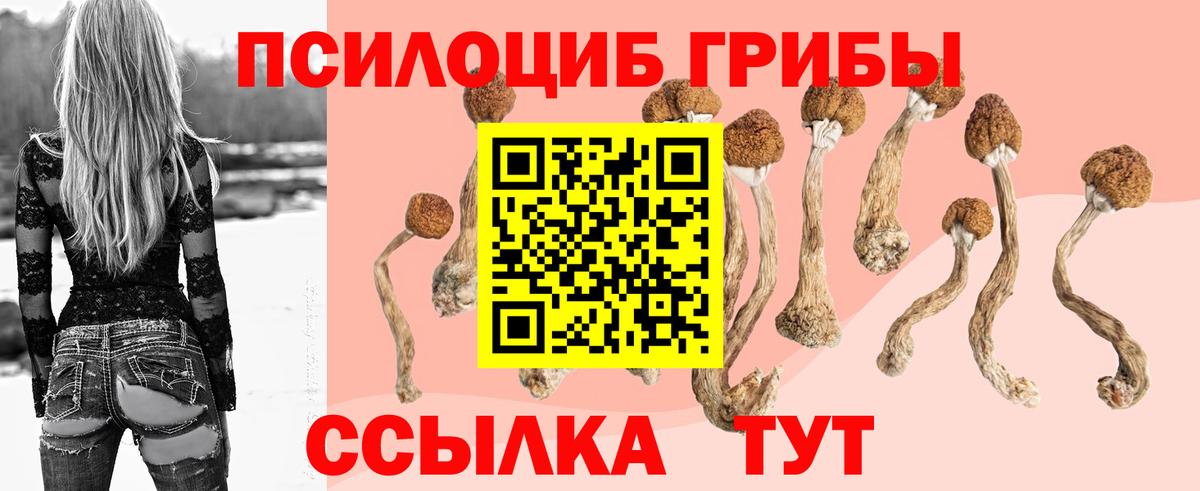 Галлюциногенные грибы Cubensis Урай
