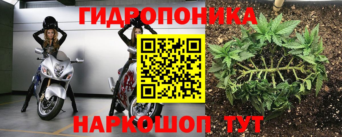 Урай  Бошки марихуана OG Kush  Вход с VPN  Бошки марихуана MAZAR  МАРИХУАНА тримм  Каннабис гибрид 